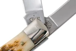 Case Trapper Amber Jigged Bone, 00164, 6254 SS Couteau De Poche -Marché Couteaux Magasin CE164 06 case ce164 06