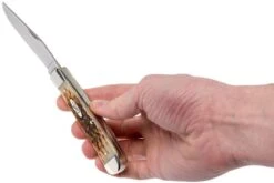 Case Trapper Amber Jigged Bone, 00164, 6254 SS Couteau De Poche -Marché Couteaux Magasin CE164 09 case ce164 09