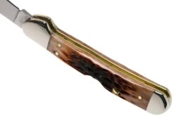 Case Mini Copperlock Brown Bone, Peach Seed Jig, 42655, 61749L SS Couteau De Poche -Marché Couteaux Magasin CE42655 04 case