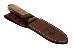 Condor Tactical P.A.S.S. Chute Knife, Couteau Fixe -Marché Couteaux Magasin CTK1827 105 4C 06 condor