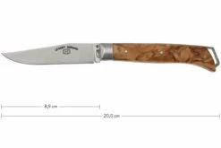 Fontenille Pataud Le Saint-Bernard, Olivier, A1O