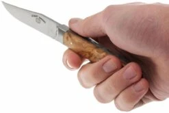 Fontenille Pataud Le Saint-Bernard, Olivier, A1O -Marché Couteaux Magasin FPA1O 06 fontenille pataud le saint bernard fpa1o 06