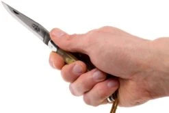 Forge De Laguiole 12110INCABDF, Corne D'Aubrac -Marché Couteaux Magasin LA12110INCABDF 07 forge de laguiole la12110incabdf 07