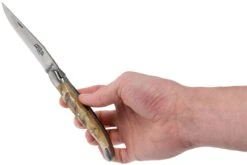 Forge De Laguiole 12 Cm 1212INBESAT Corne De Bélier, Couteau Laguiole -Marché Couteaux Magasin LA1212INBESAT 08 forge de laguiole