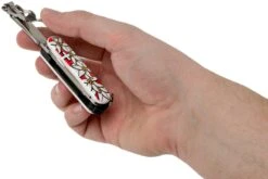 Victorinox NailClip 580 Edelweiss 0.6463.840 Couteau Suisse 11 Victorinox NailClip 580 Edelweiss 0.6463.840 Couteau Suisse -Marché Couteaux Magasin VT0 6463 840 06 victorinox